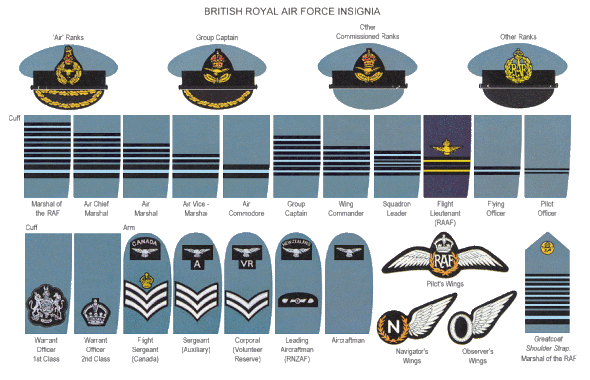 Powerful - His Majesty’s Services: 3 A picture detailing the ranks/insignia of the Royal Air Force