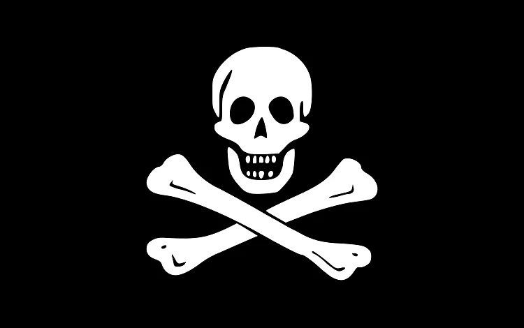 Sensational June meeting - Submarine presentation 1 Submarine presentation A picture of a Jolly Roger