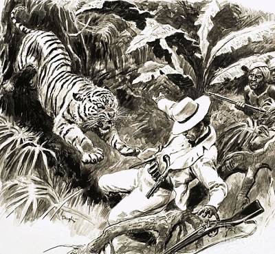 Foreword 2 TigerMET